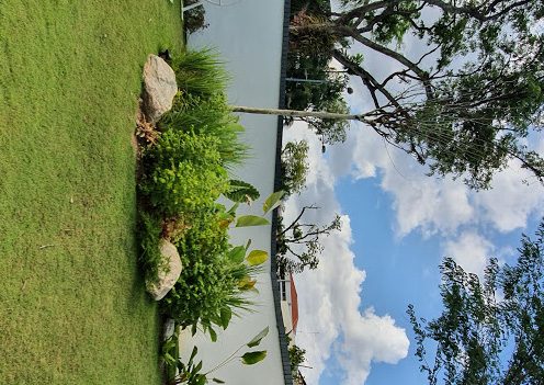 Garden with hidden outdoor audio equipment